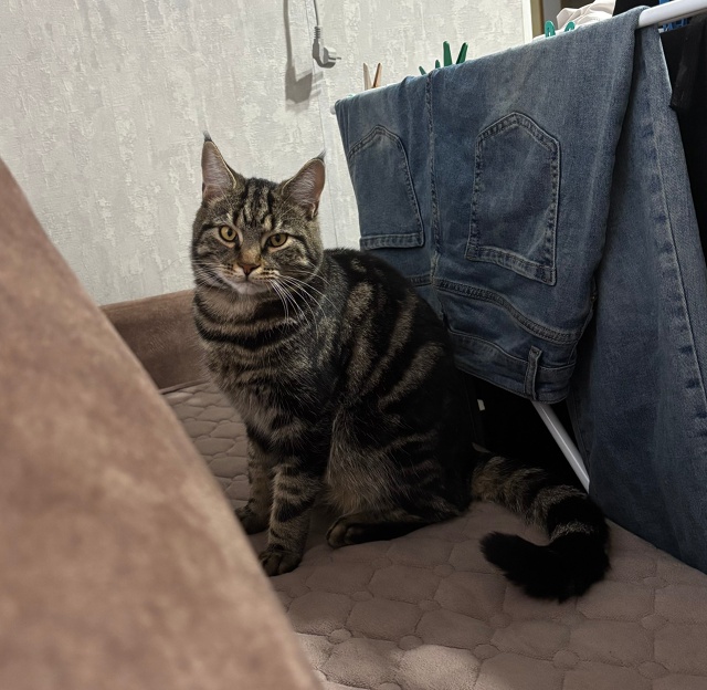 Снова Кузьма ☺️ самый любимый ❤️