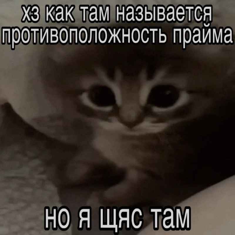 Ночная подборочка
Выходные, не спим