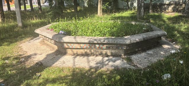 Свиньи - больше нечего добавить 🤦