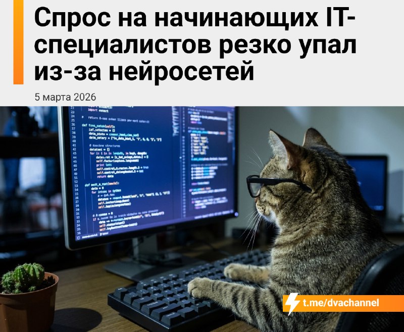 Российские компании перестали брать джунов в IT — теперь вместо них нанимают опытных специалистов с