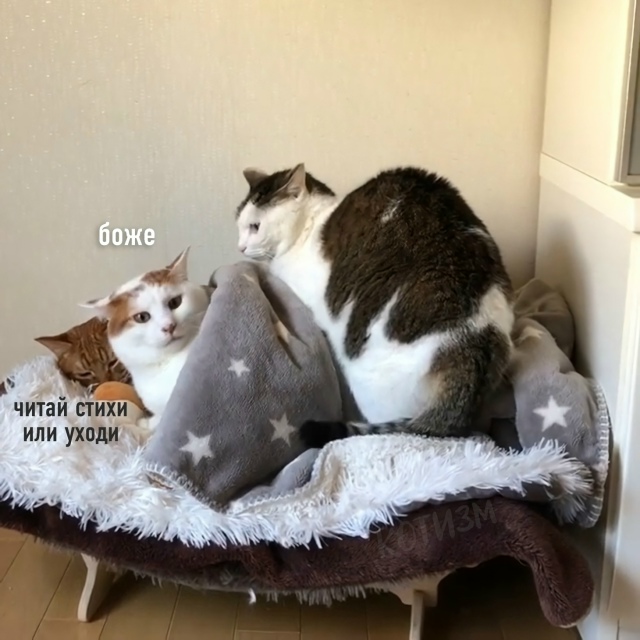 Любовный треугольник Маяковского: