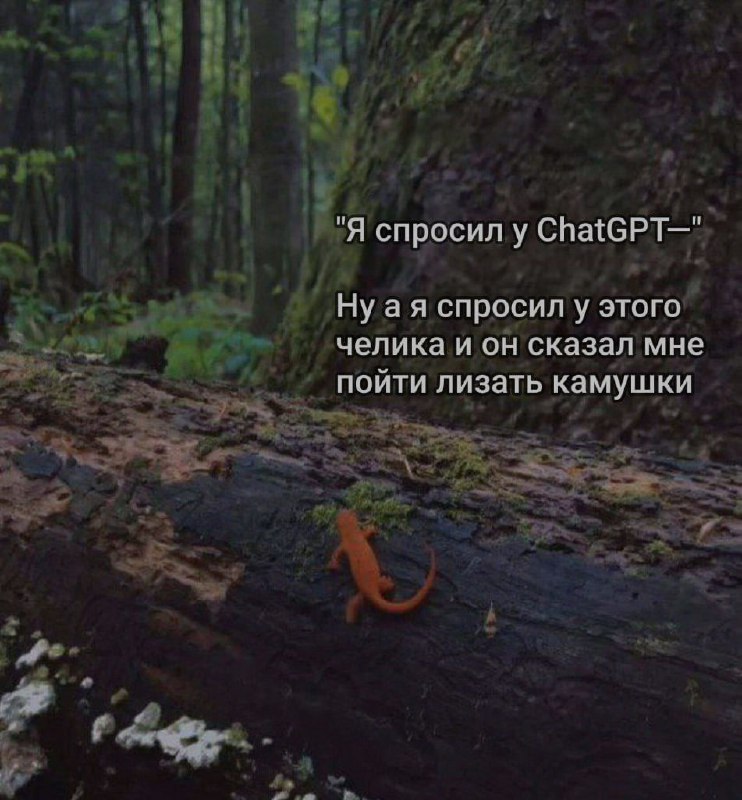 Ночная подборочка
Спать, режим