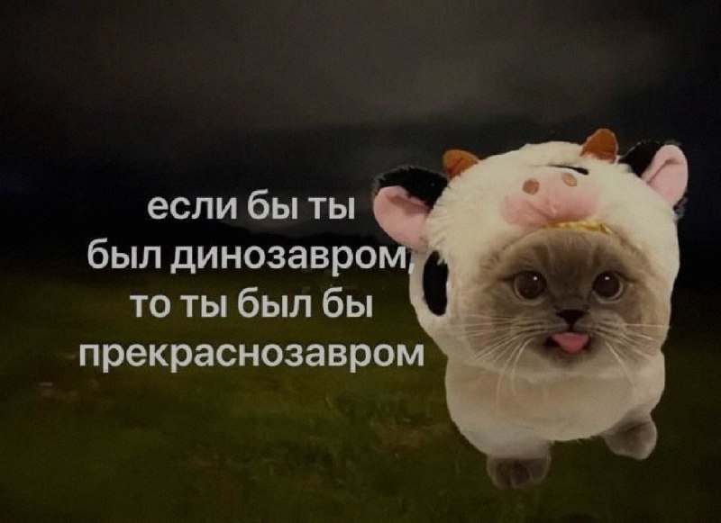 Ночная подборочка
Выходные, не спим