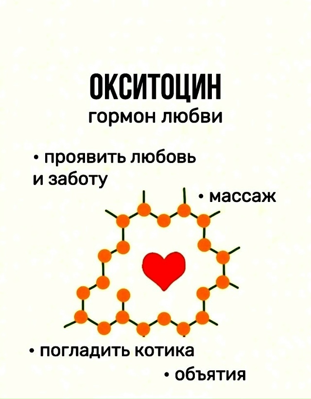 Химия мозга и настроение:
