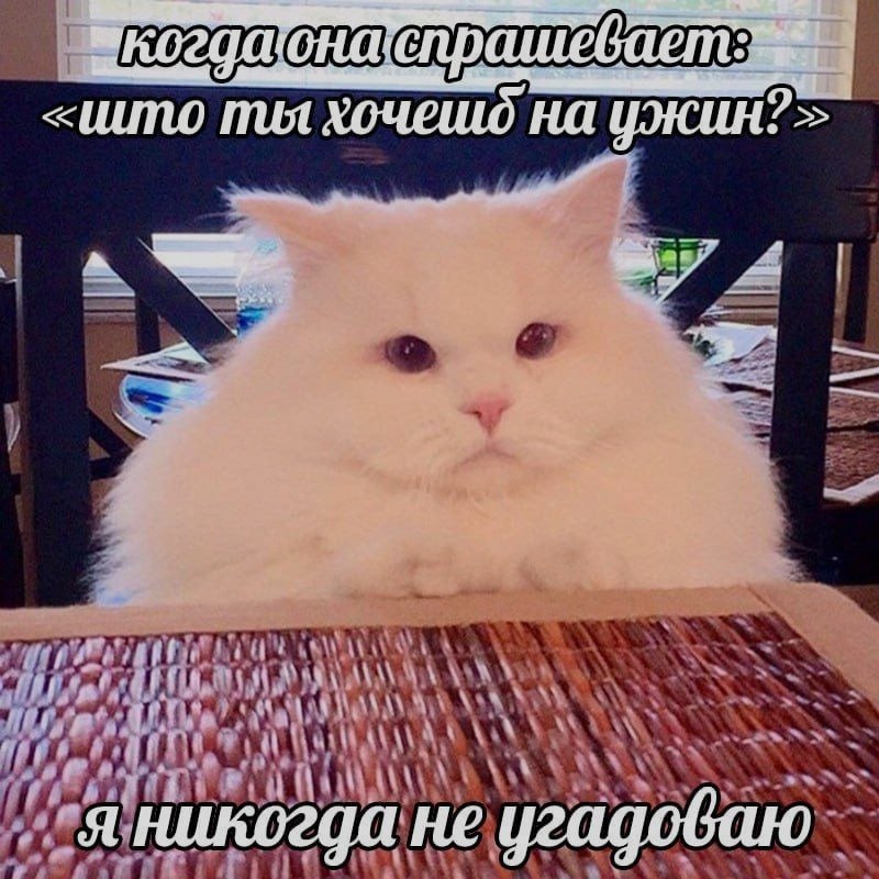 Ночная подборочка
Спать, режим