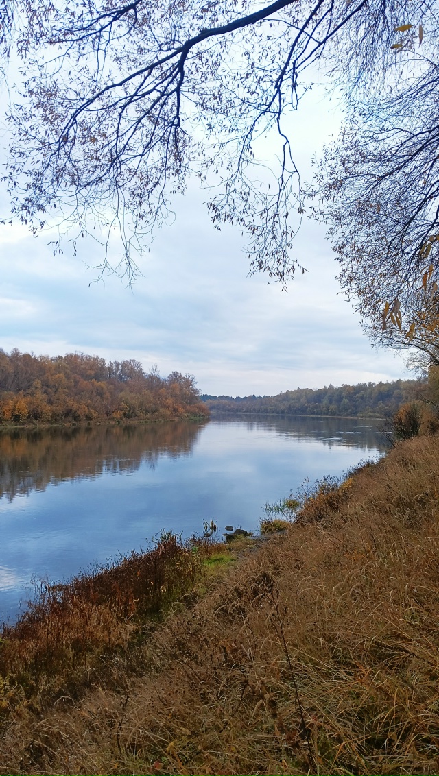 Всем Добрый Осенний привет🍂🍂
