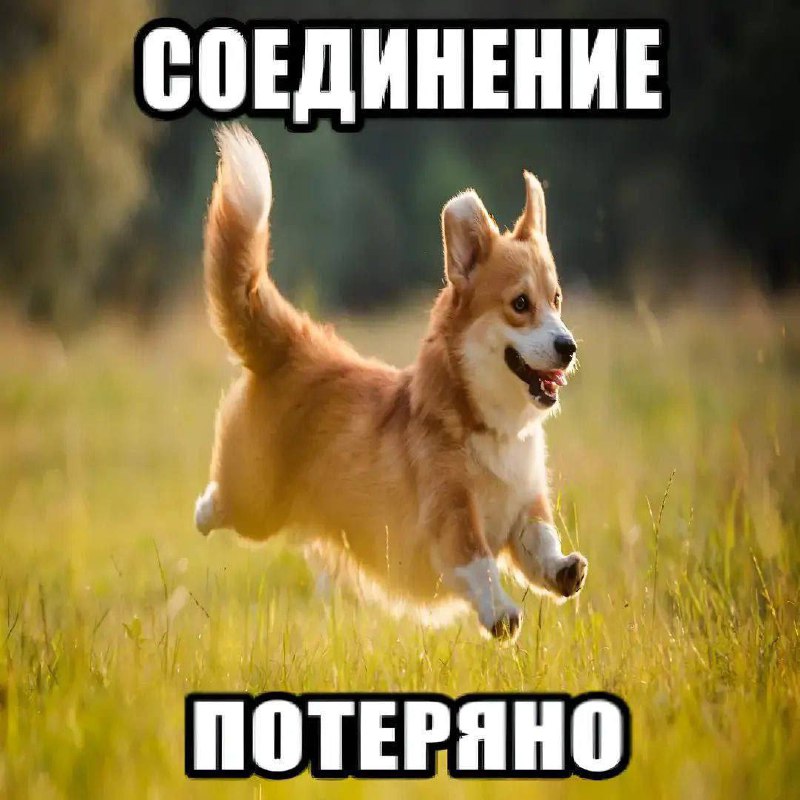 Утренняя подборочка