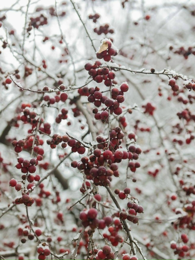 ❄️Заснеженные дворы Екатеринбурга