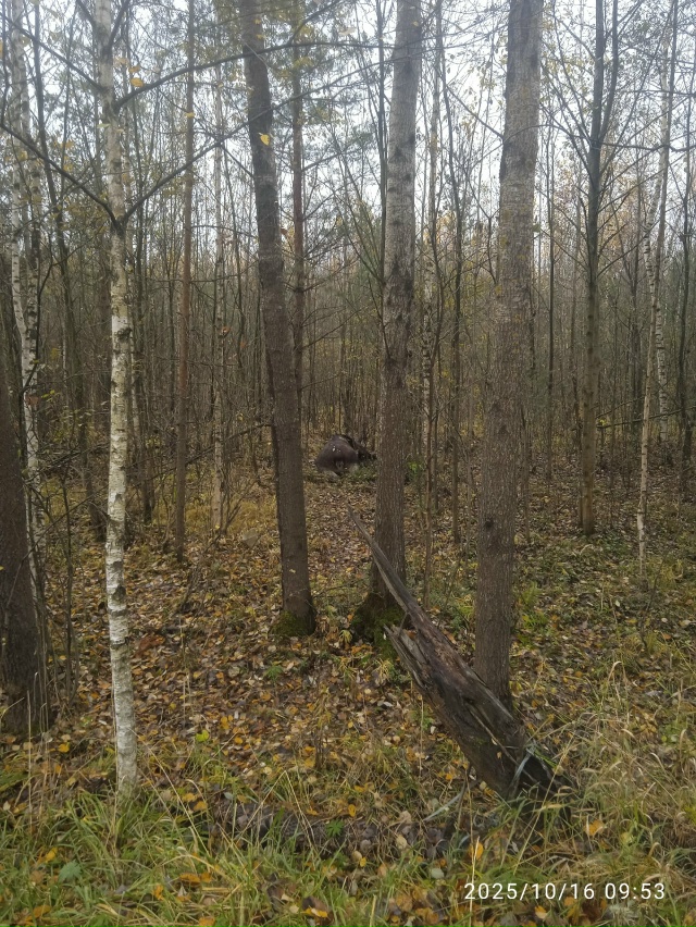 В метрах 200 от магазина светофор по правой стороне лежи...