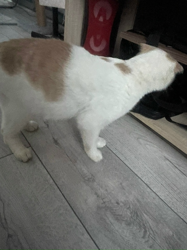 Здравствуйте! Помогите пожалуйста кто-нибудь! Может ту...