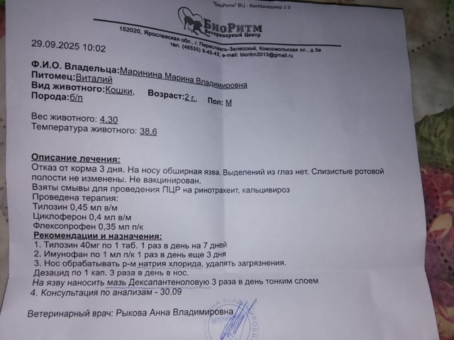 Друзья!
Мы все еще пытаемся насобирать денежку на пога...