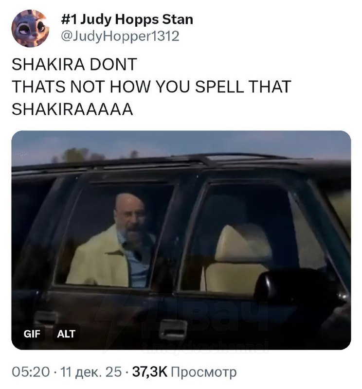 Зоофилия 🤩
Певица Шакира поделилась эмоциями от похода на второй «Зверополис» (Zootopia).
Проклята