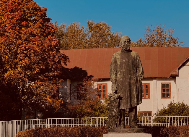 Осень золотая🍁