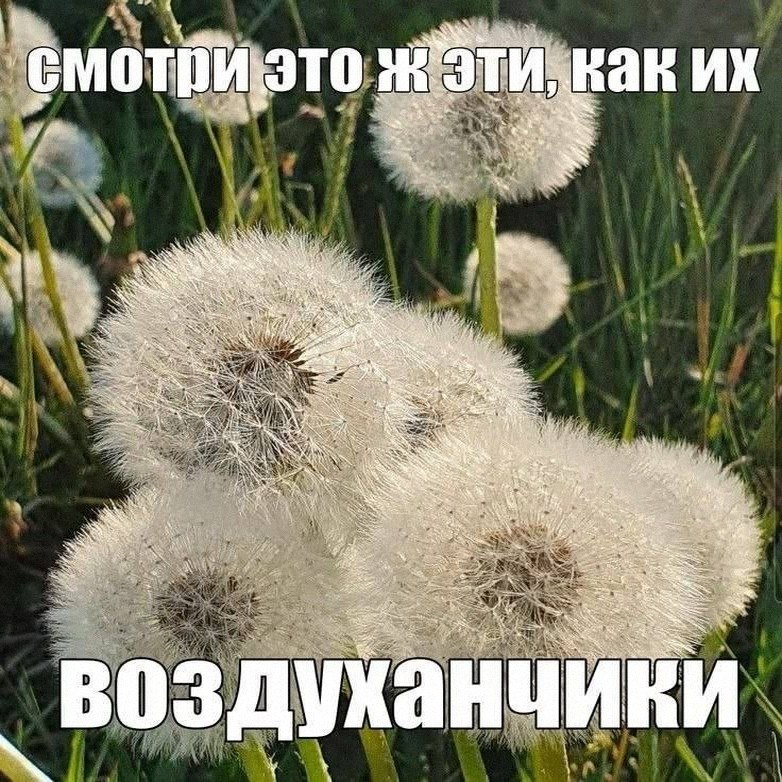 Утренняя подборочка