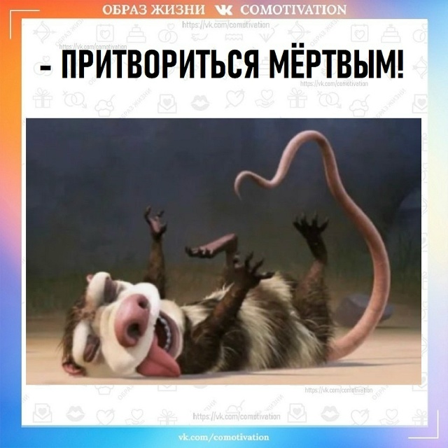 Кто знает: это работает?