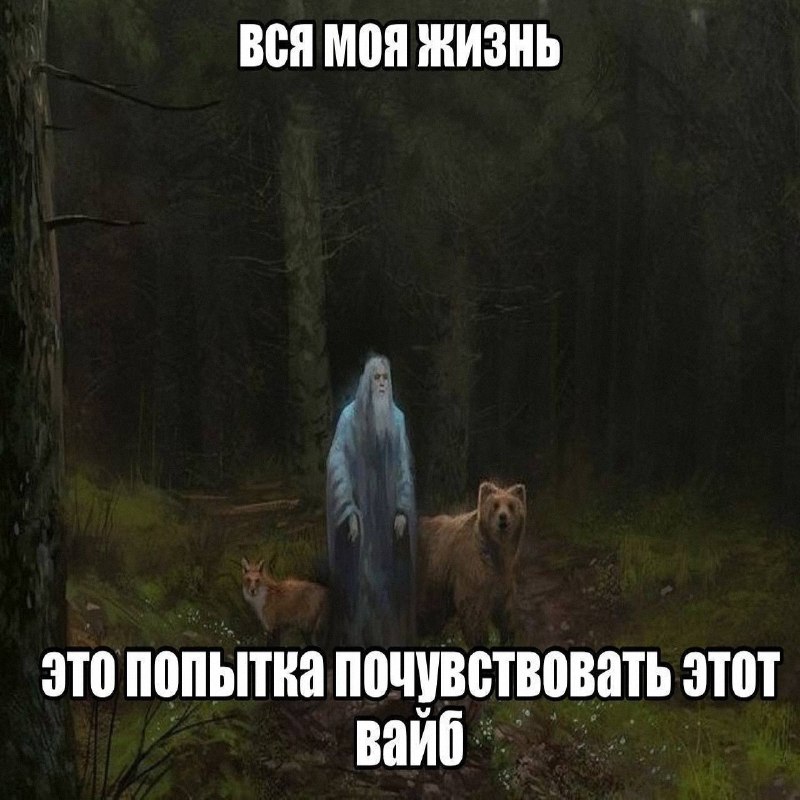 Утренняя подборочка