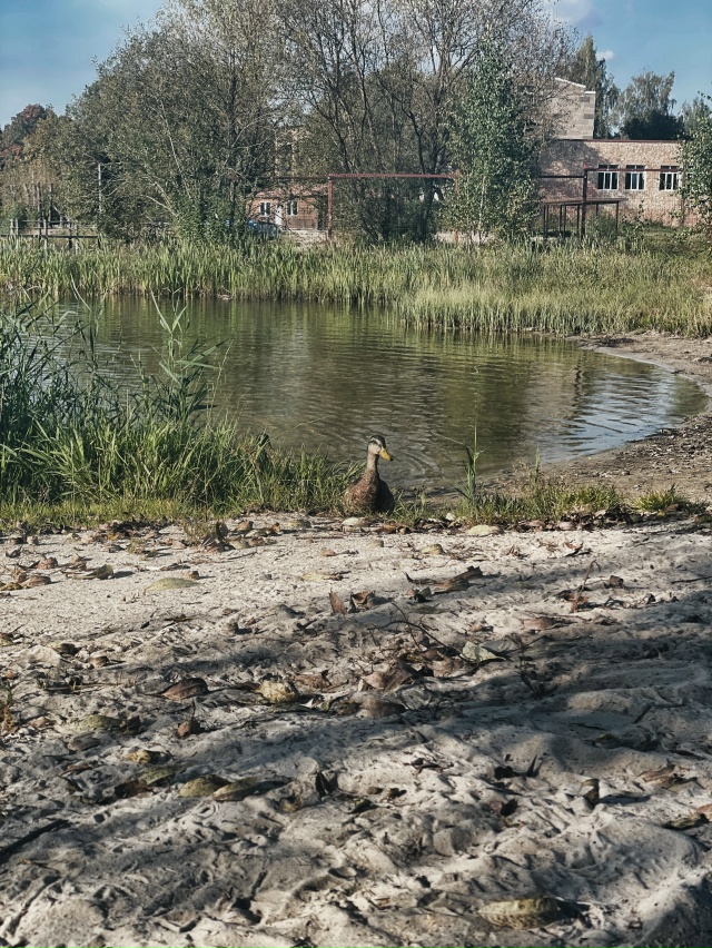 Утро доброе, город!