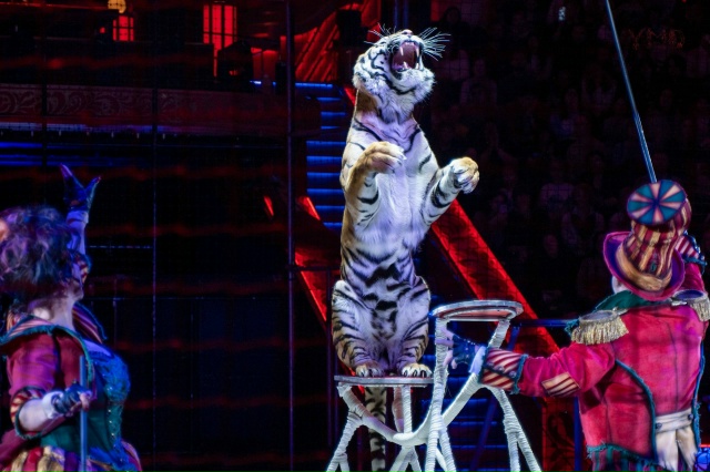 28 МАРТА🪻ЦИРК Юрия Никулина 🎪 «ВЕСЬ ЭТОТ ЦИРКЪ» на ве?...