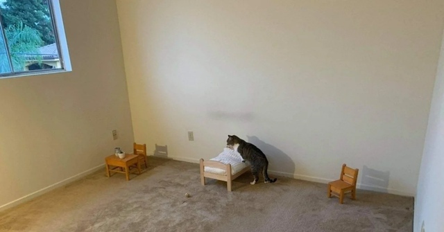 ? Предлагают передавать государству квартиры с долга...