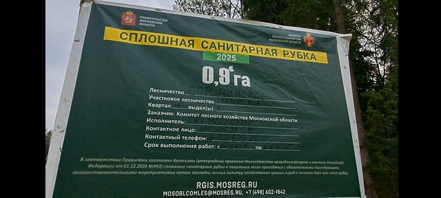 Я поражаюсь просто за то какие рабочие, осуществляющие...