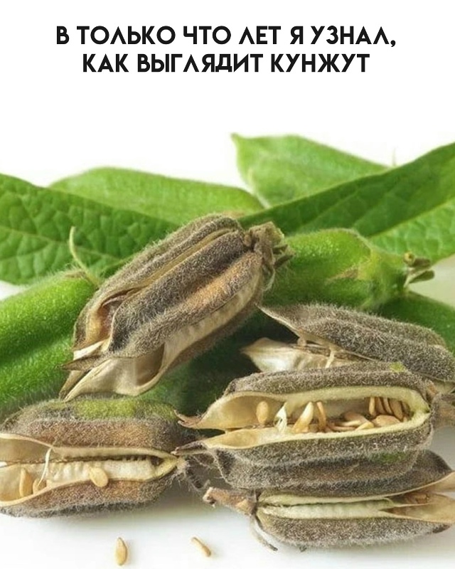 А ведь я не всё знал...