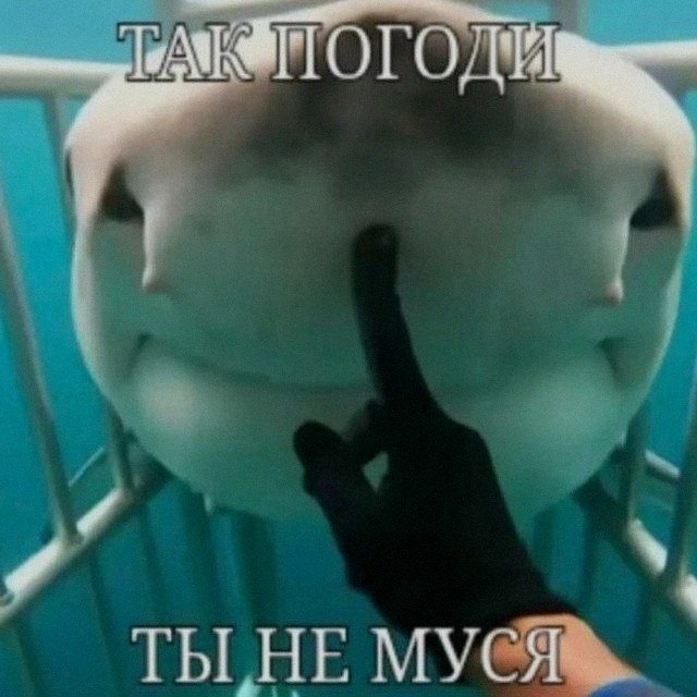 Ночная подборочка
Спать, режим