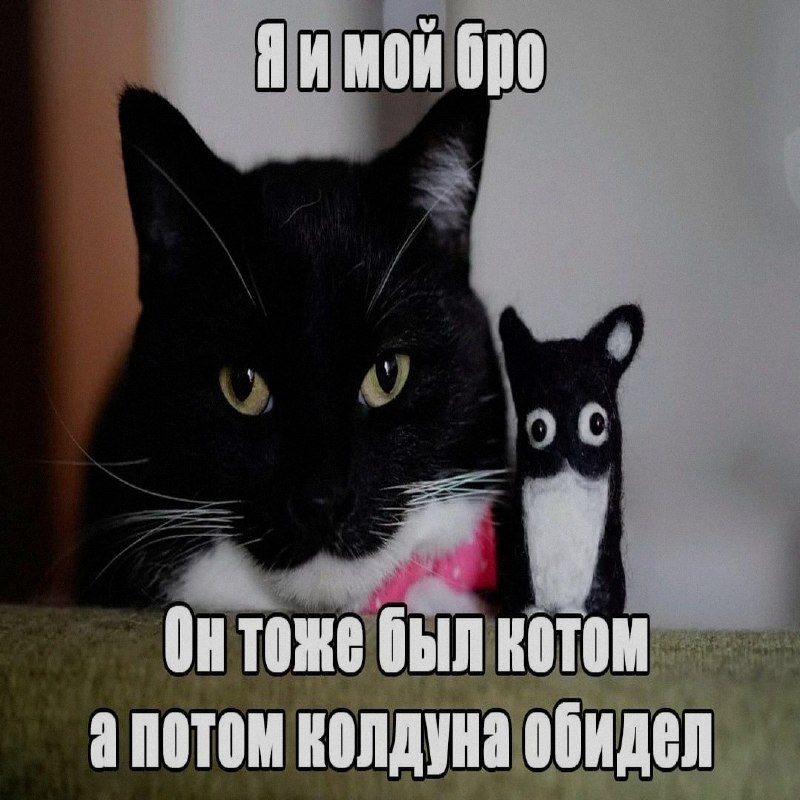 Ночная подборочка
Спать, режим