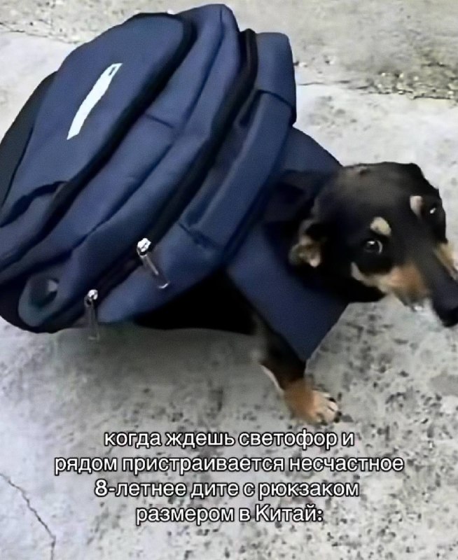 их сезон начался