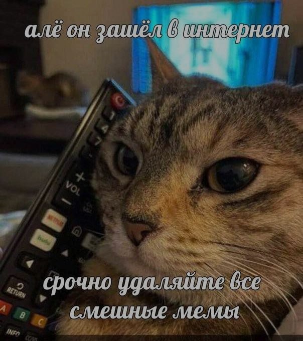 Ночная подборочка
Выходные, не спим