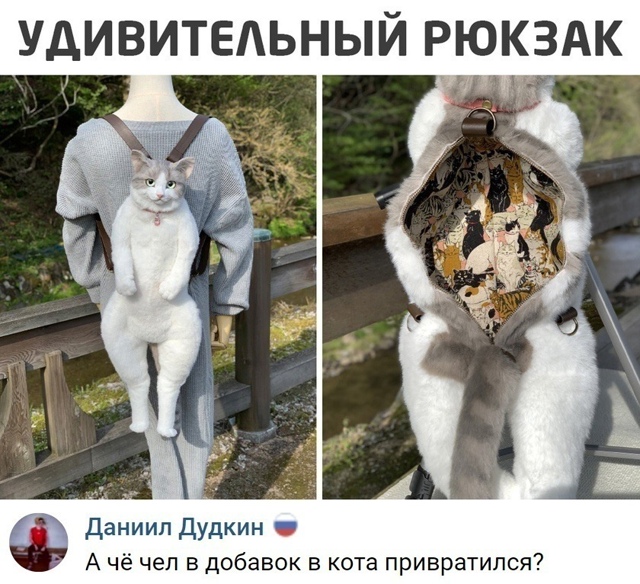 Безумные приколы