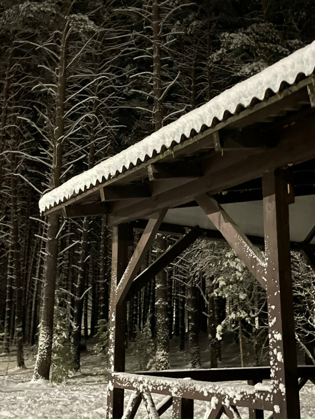 Βeчepний Зaeльцoвcкий пapк ❄️