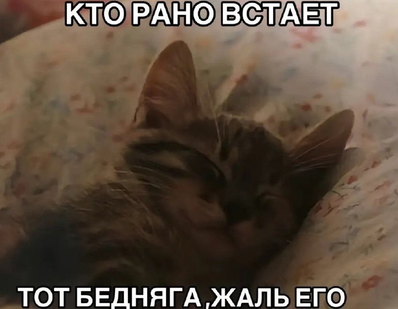 Утренняя подборочка