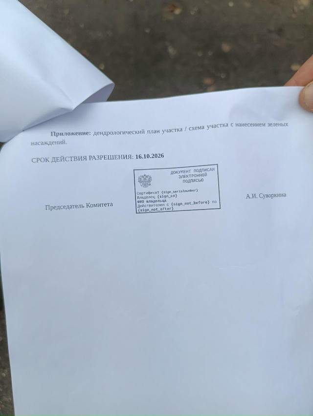 Пост крик души! Не ужели настолько необходим спил живы?...