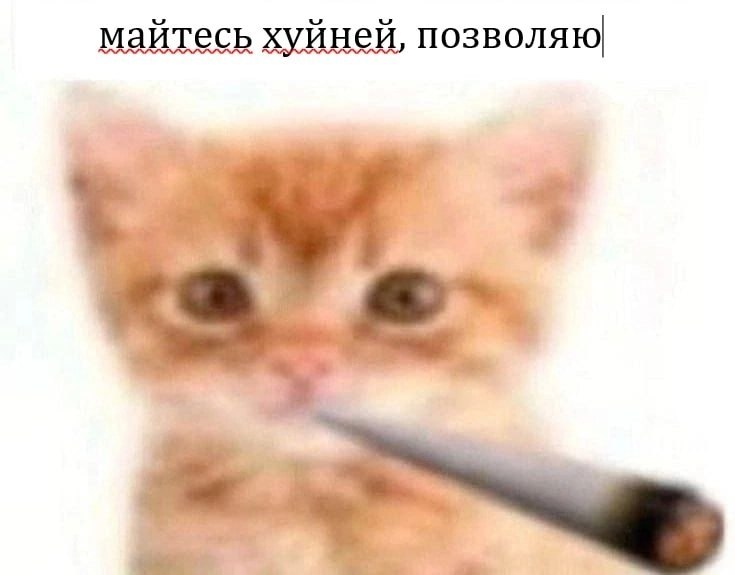 я, если стану тетей