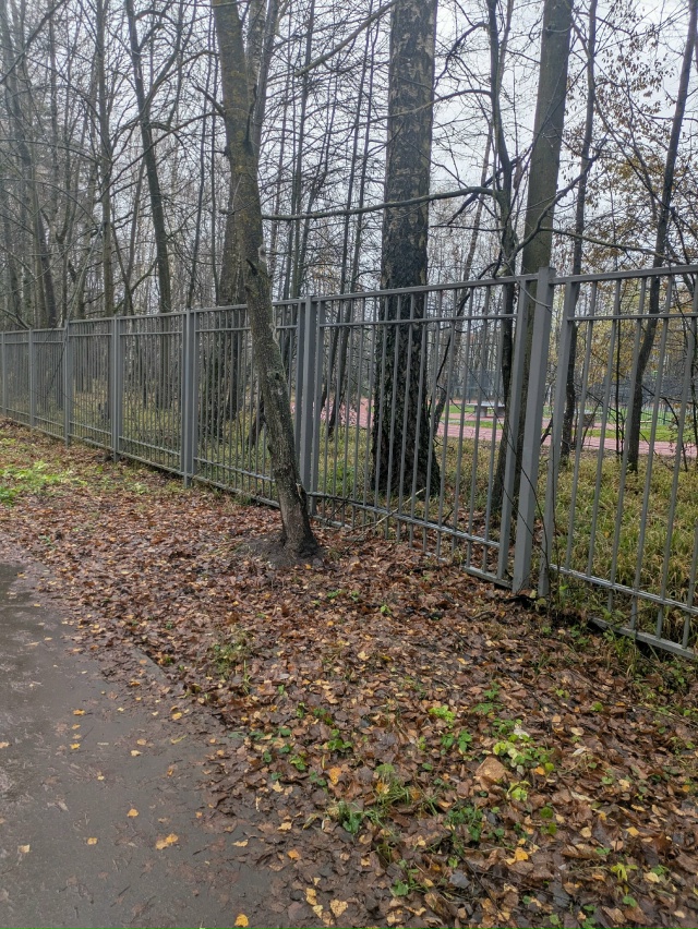 Вопрос к Администрации
Когда планируется подключение...