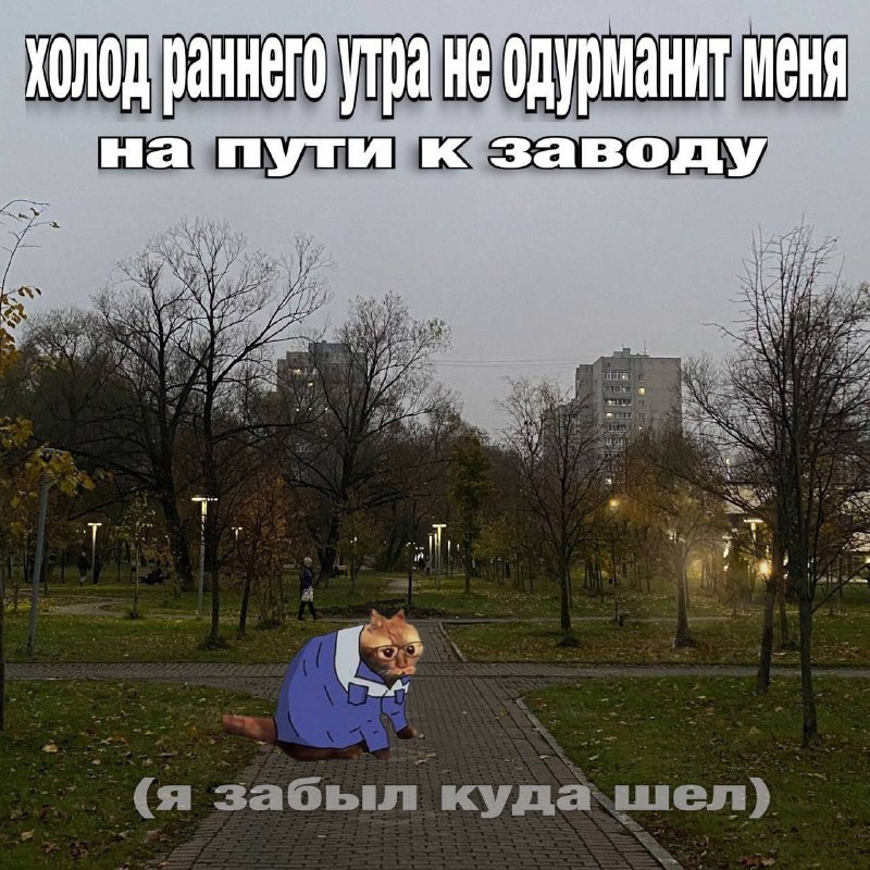 Утренняя подборочка