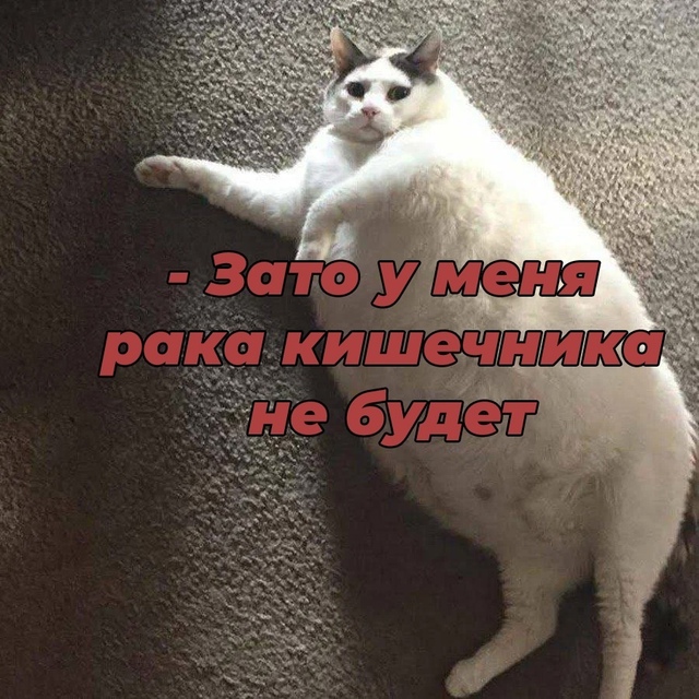 Безумные приколы
Долгие пробежки могут повысить риск ?...