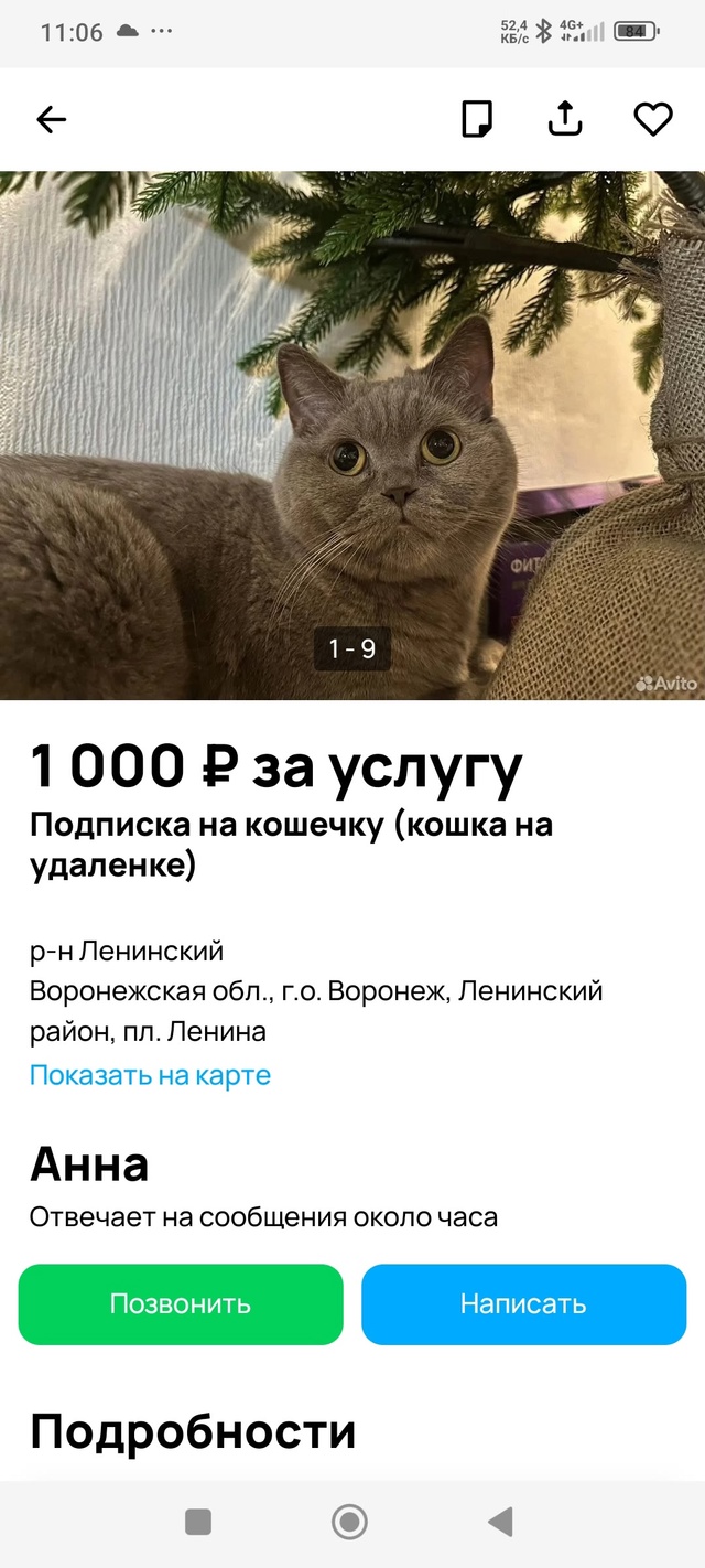 Воронеж не перестает удивлять своими предложениями 😂