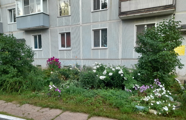 Прекрасный вечерний вид для глаз!!!⚘️🌼🌸🌷