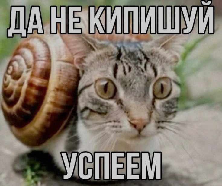 Ночная подборочка
Спать, режим