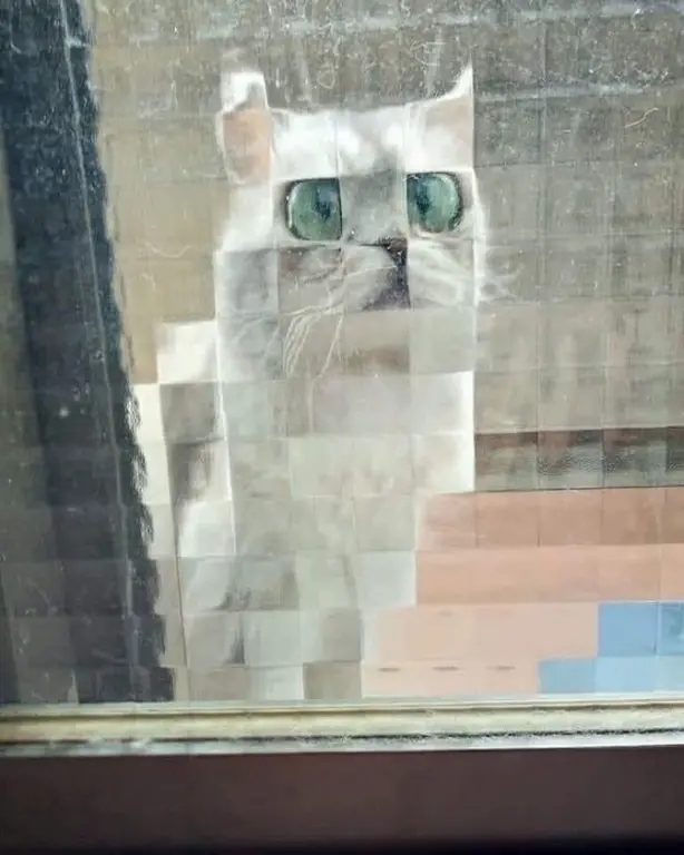 Коты Майнкрафт😆