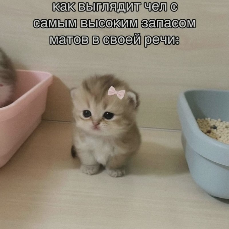 Ночная подборочка
Спать, режим