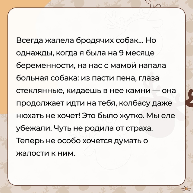— На нас с мамой напала больная собака...
#Подслушано_с?...