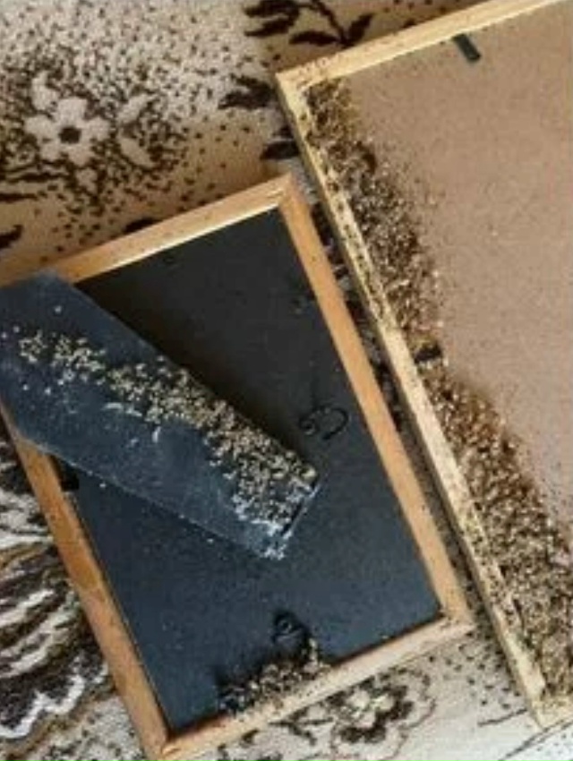 Предлагаем услуги дезинфекции, дезинсекции, дератизац...