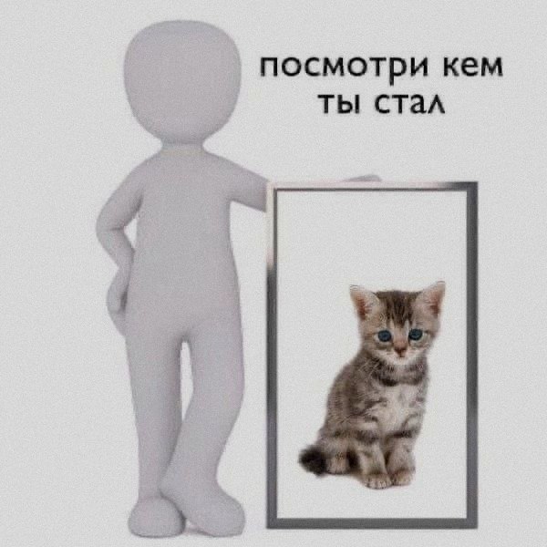 Ночная подборочка
Выходные, не спим