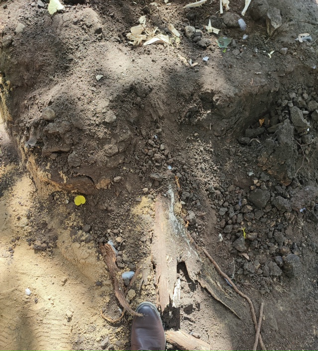 Все лето и осень в Воронеже во время ремонта бульвара К...