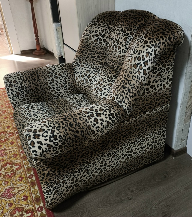 Здравствуйте группа! ?Пристраивается леопардовый ко?...