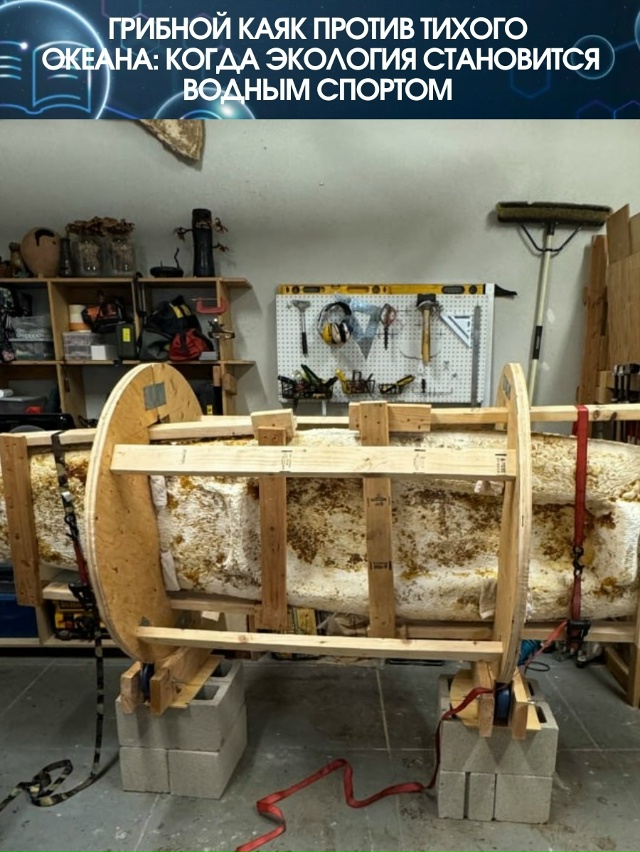 Американец Сэм Шумейкер решил, что пластик — это вчера...