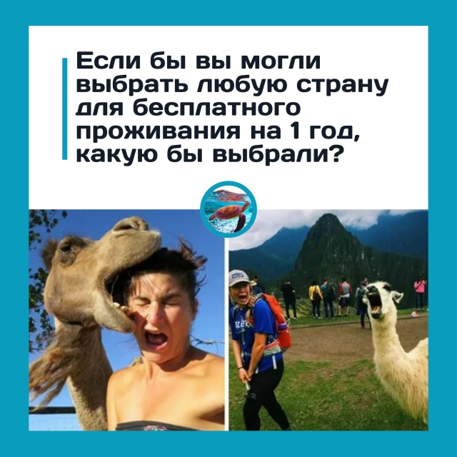Если бы вам дали шанс прожить год в любой стране мира —...