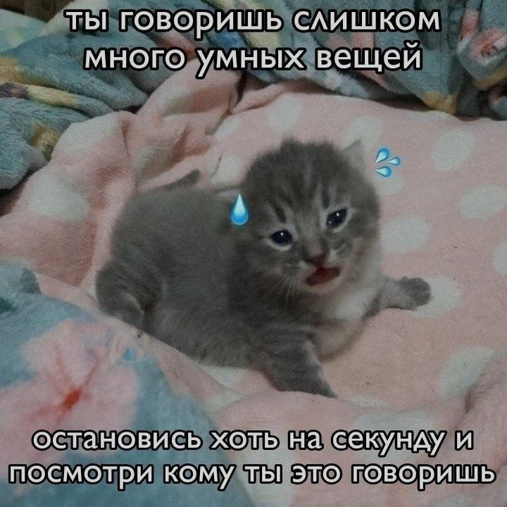 Ночная подборочка
Спать, режим